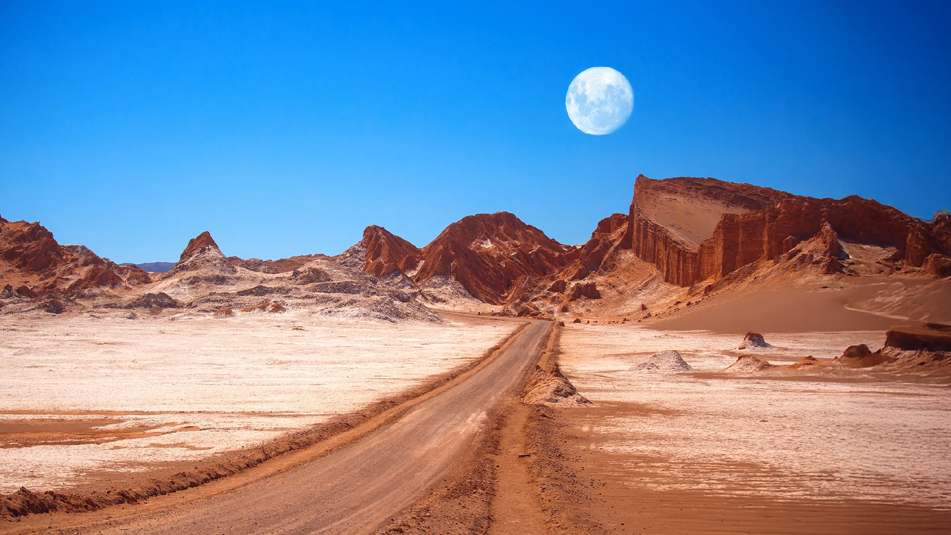 Newsletter Noviembre 2025