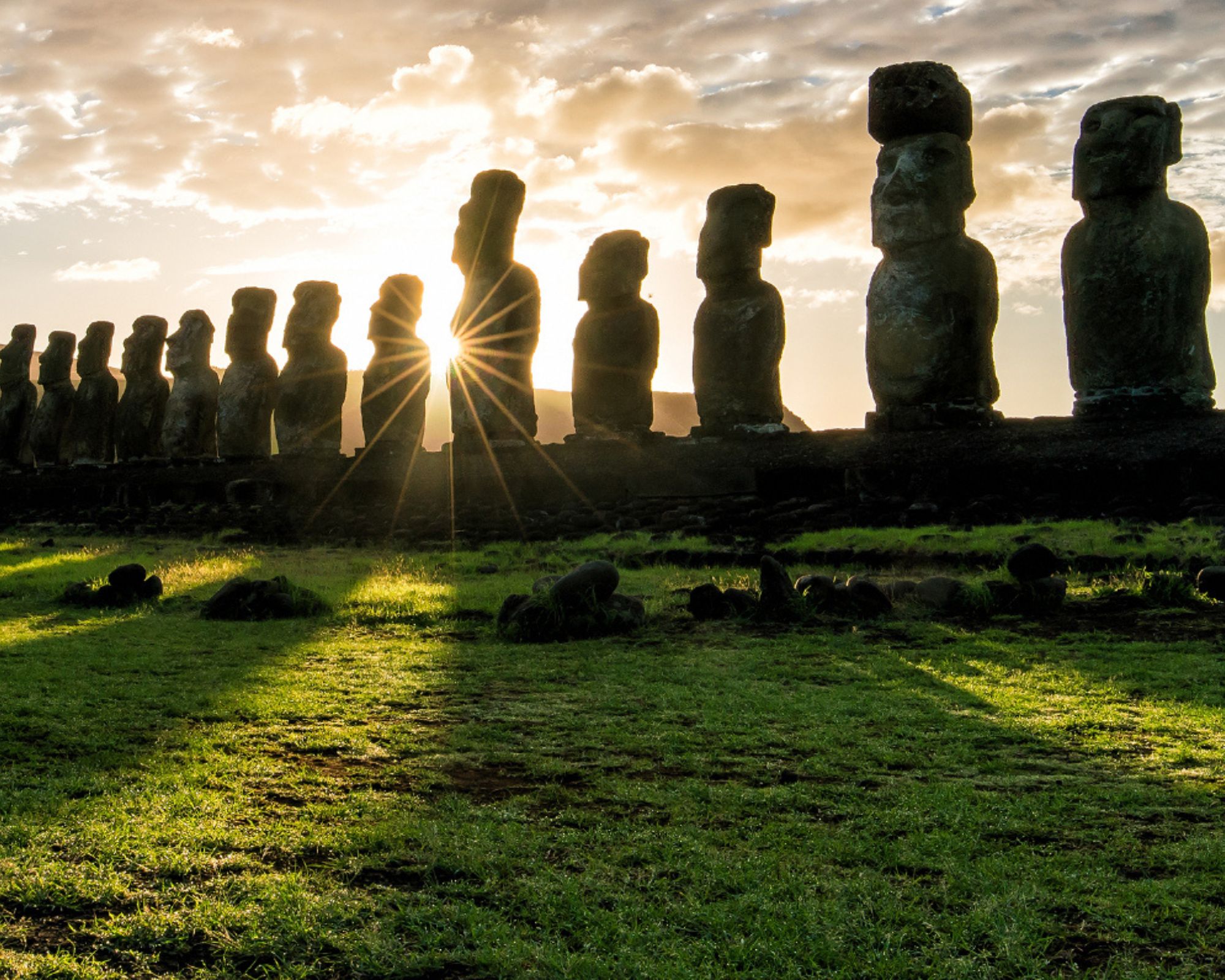 Newsletter Enero 2026